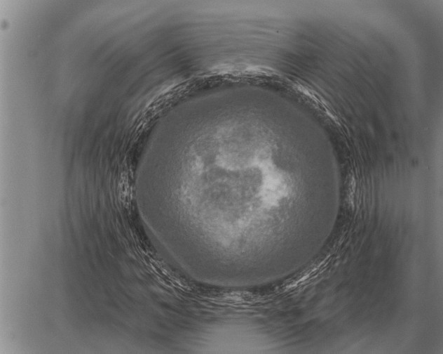 X0000087680966200705181725