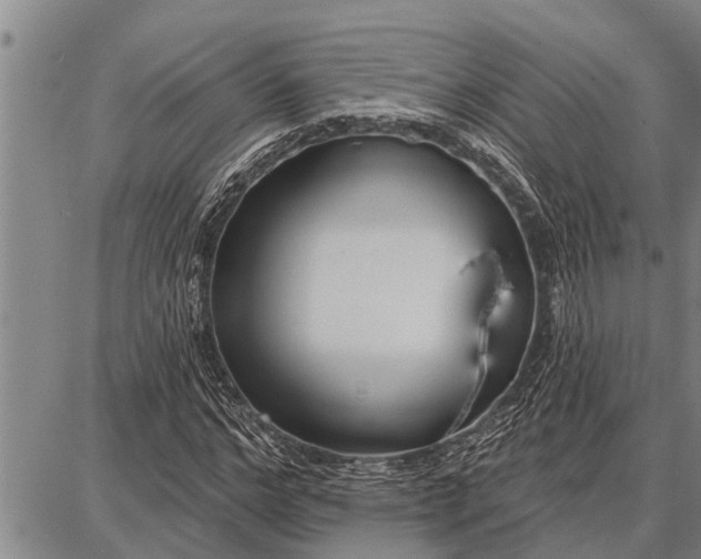 X0000087680968200705181725