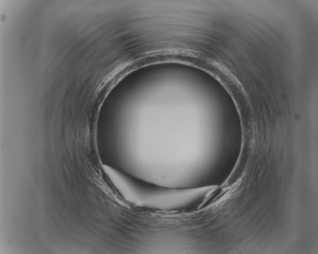 X0000087680969200705181725