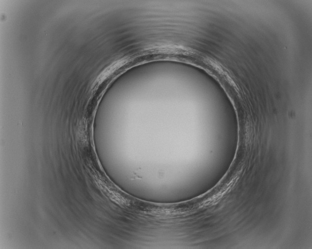 X0000087680970200705181725