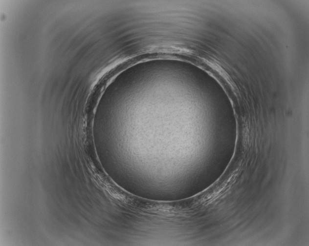 X0000087680971200705181725