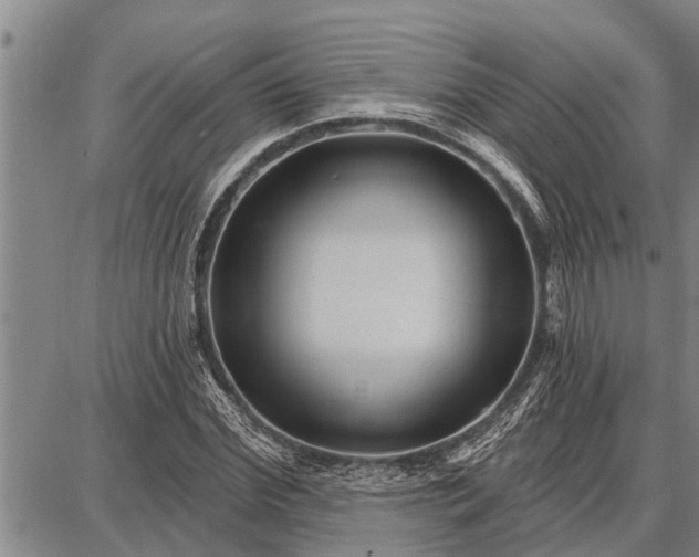 X0000087680972200705181725