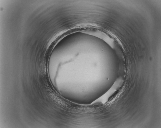 X0000087680973200705181725