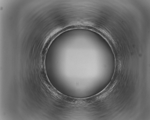 X0000087680974200705181725