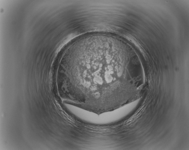 X0000087680975200705181725