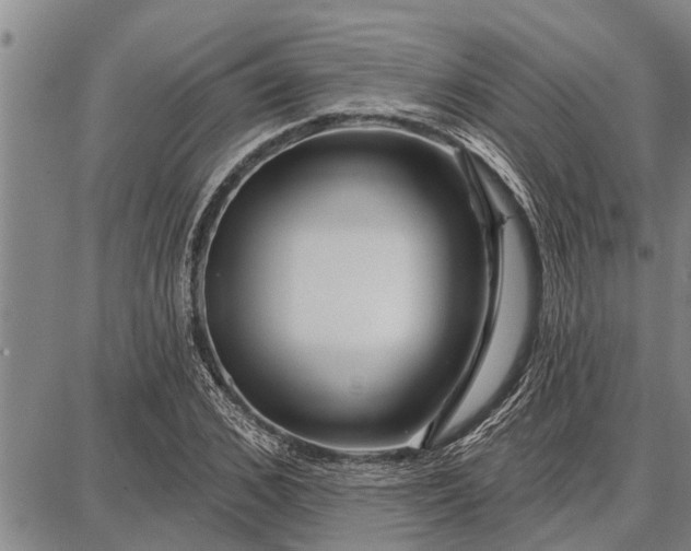 X0000087680976200705181725