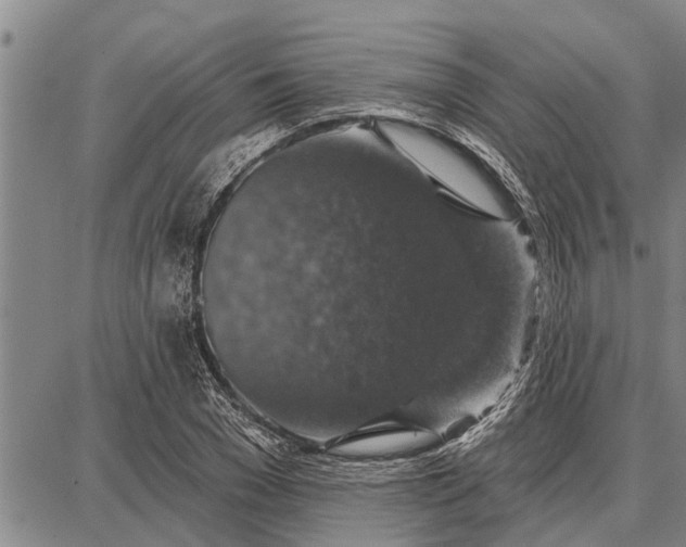 X0000087680977200705181725