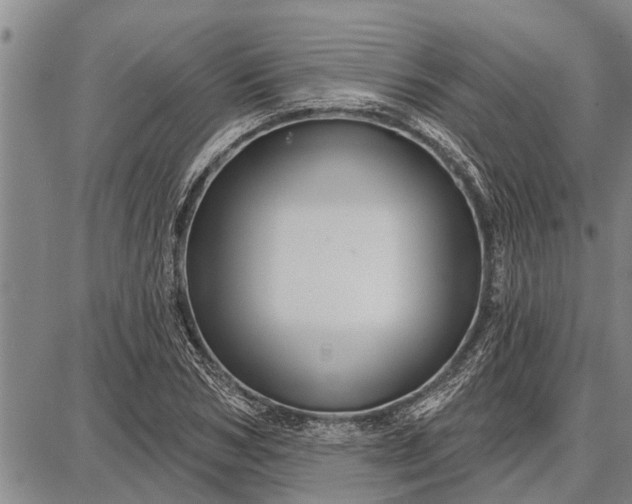 X0000087680978200705181725