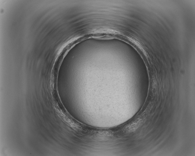 X0000087680979200705181725