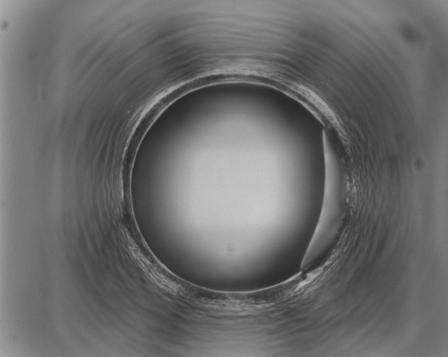 X0000087680980200705181725