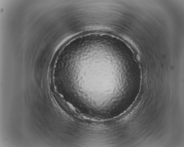 X0000087680983200705181725