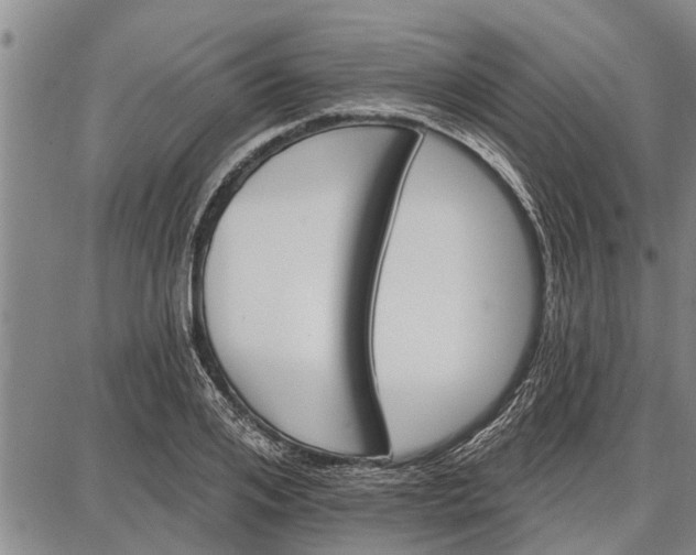 X0000087680984200705181725