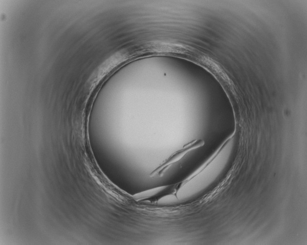 X0000087680986200705181725