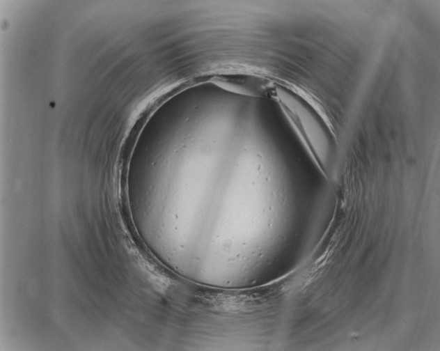 X0000087680987200705181725