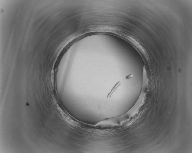 X0000087680988200705181725