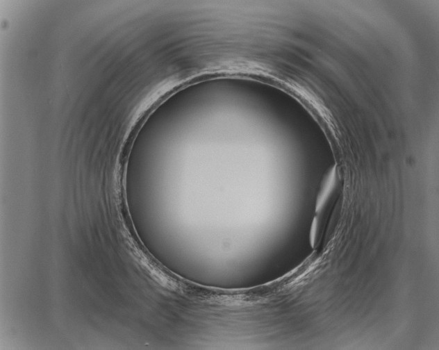 X0000087680990200705181725