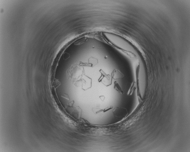 X0000087680991200705181725