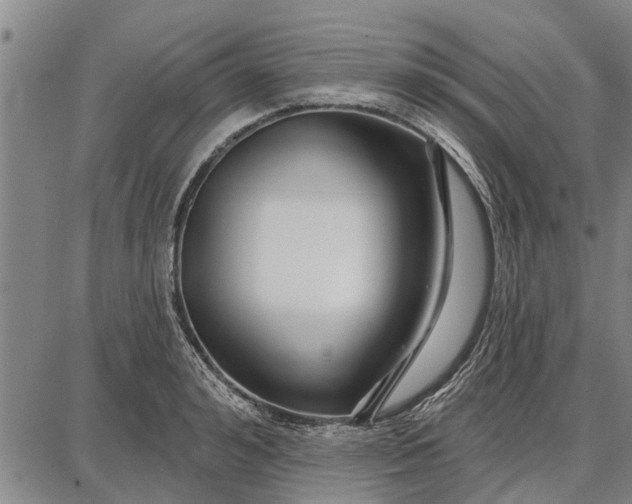 X0000087680992200705181725