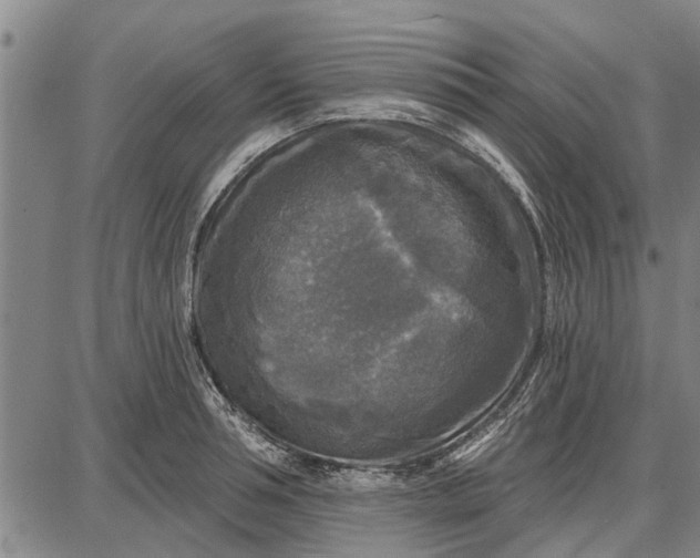 X0000087680994200705181725