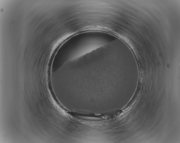 X0000087680995200705181725