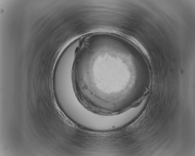 X0000087680996200705181725