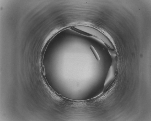 X0000087680997200705181725