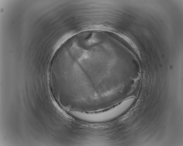 X0000087680998200705181725