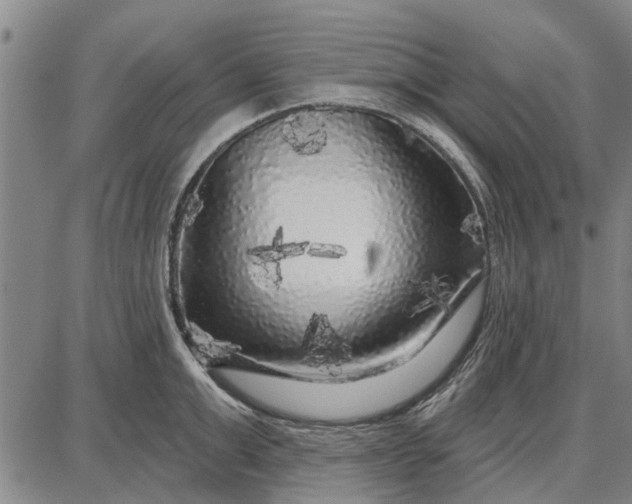 X0000087680999200705181725