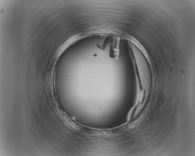 X0000087681002200705181725