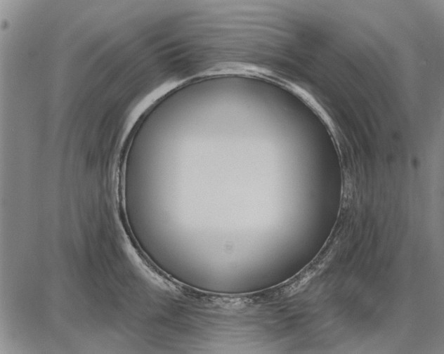 X0000087681003200705181725