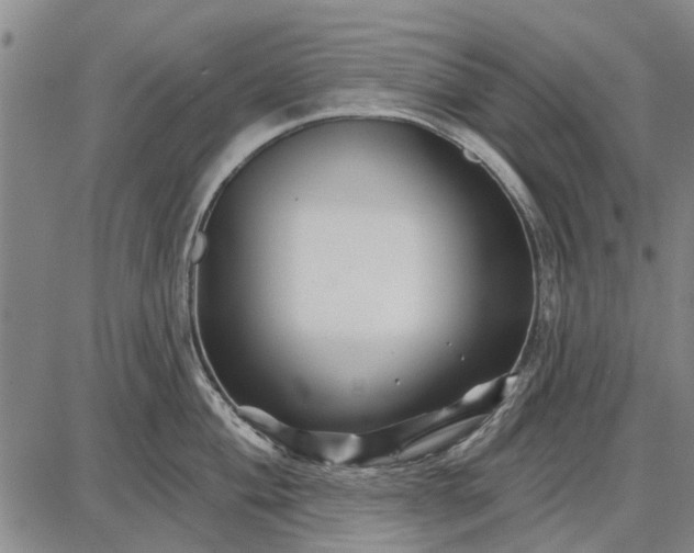 X0000087681004200705181725