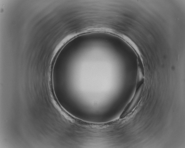 X0000087681005200705181725