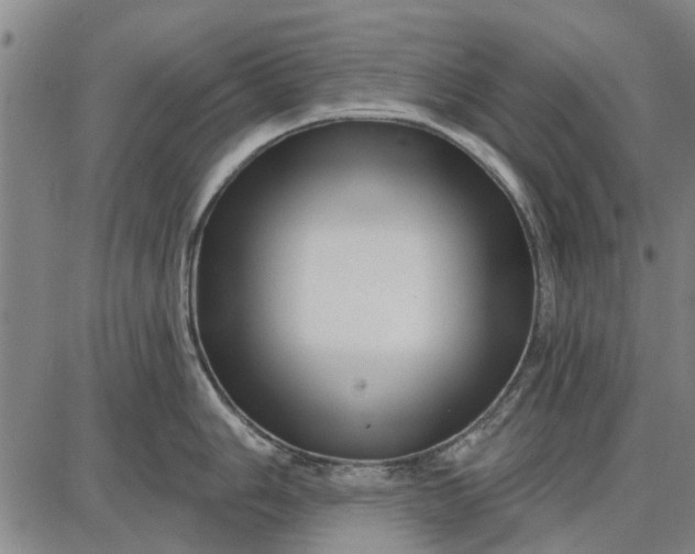 X0000087681006200705181725