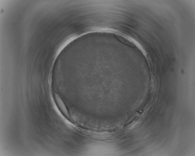 X0000087681007200705181725