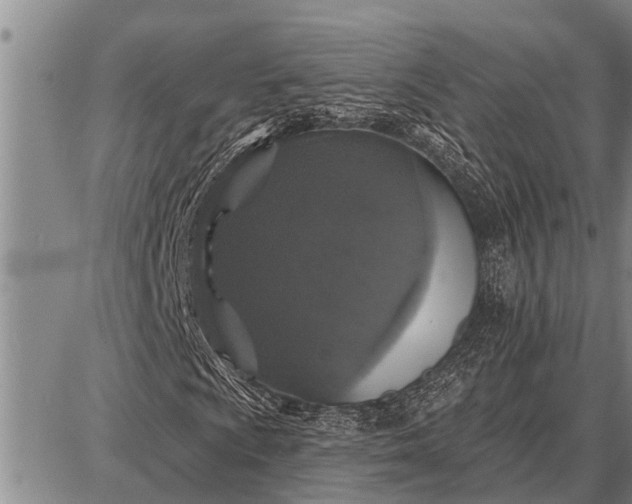 X0000087681009200705181724