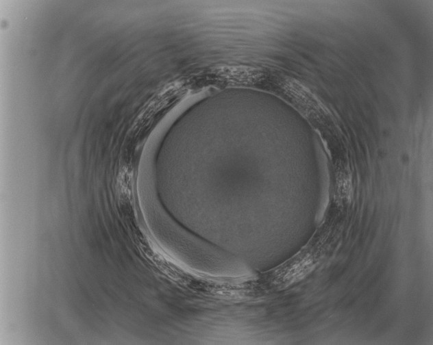 X0000087681010200705181724