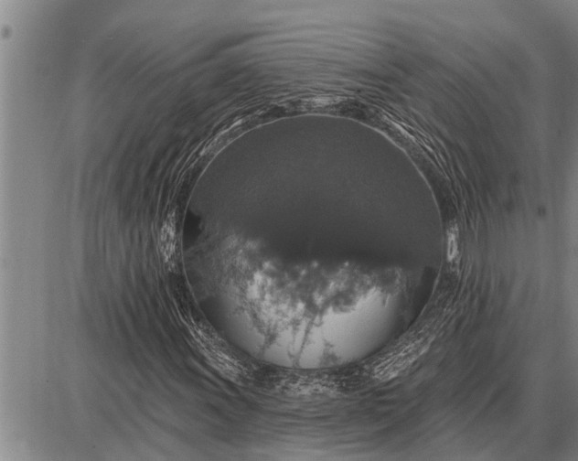 X0000087681011200705181724