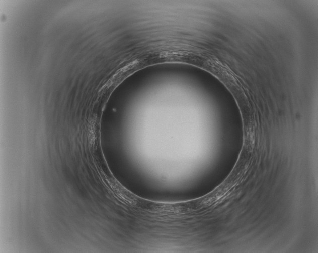 X0000087681012200705181724