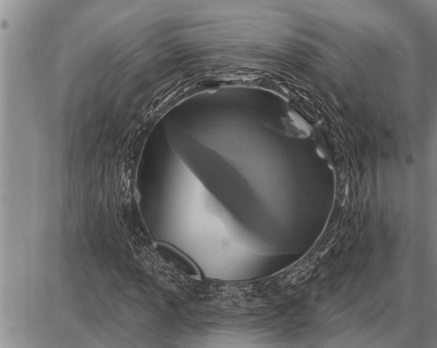 X0000087681013200705181724