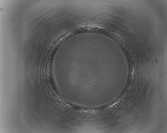 X0000087681014200705181724