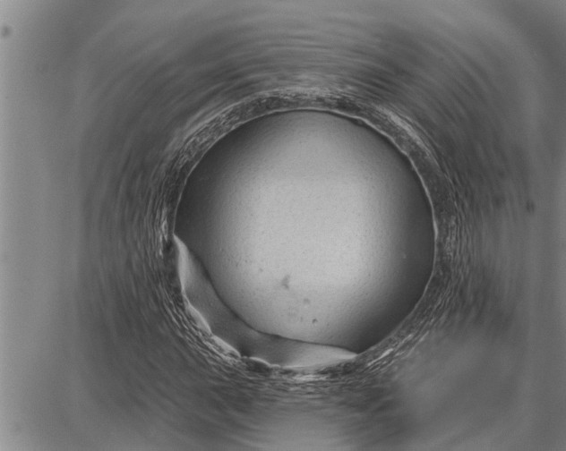 X0000087681015200705181724