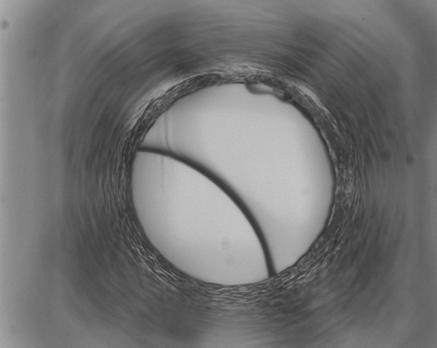 X0000087681016200705181724