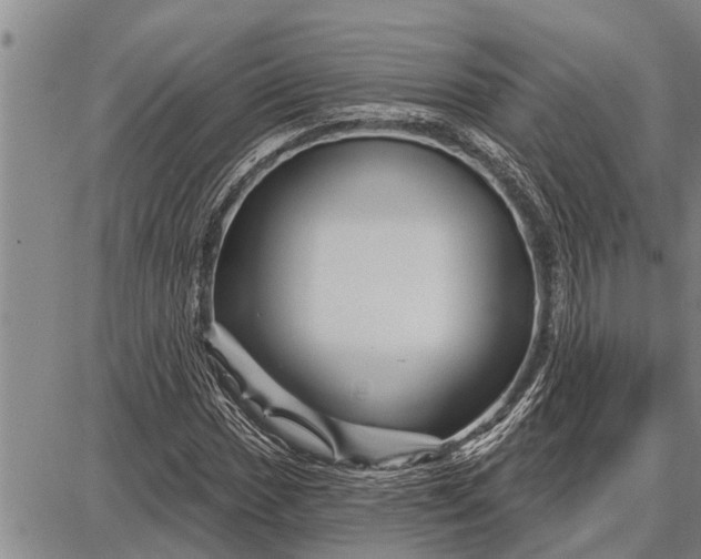 X0000087681017200705181724