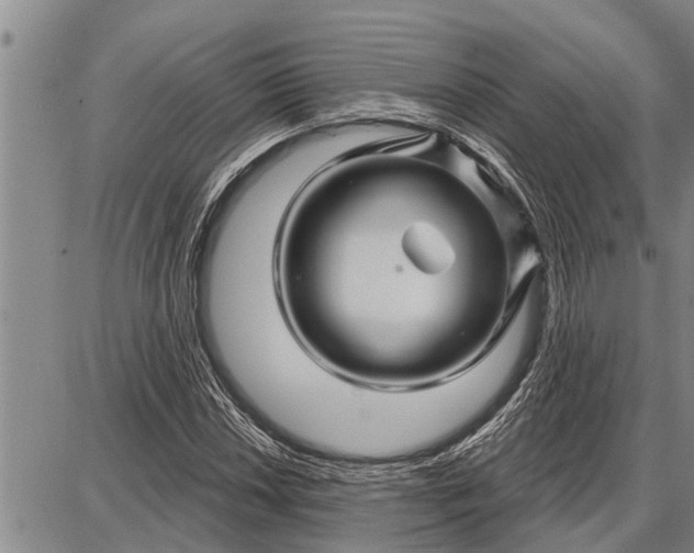 X0000087681018200705181724