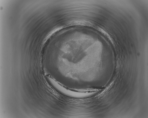 X0000087681019200705181724