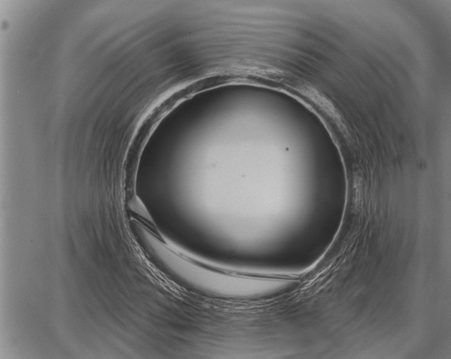 X0000087681020200705181724