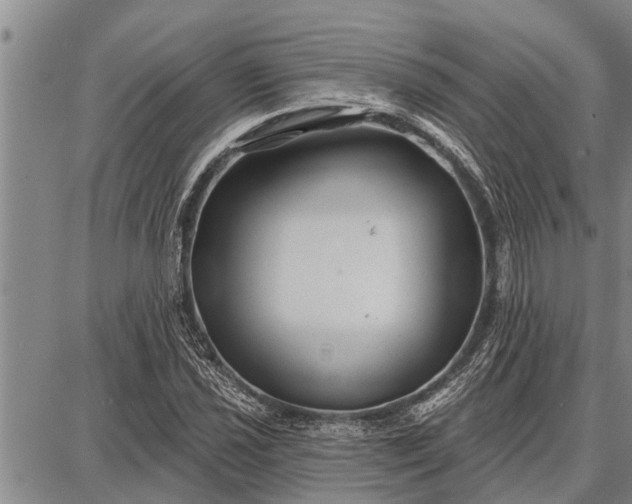 X0000087681021200705181724