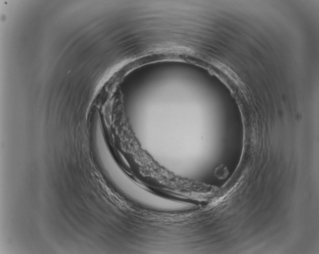 X0000087681022200705181724