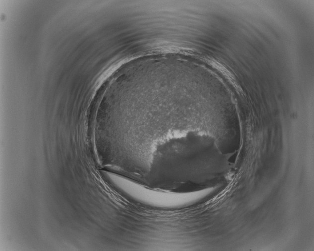 X0000087681023200705181724