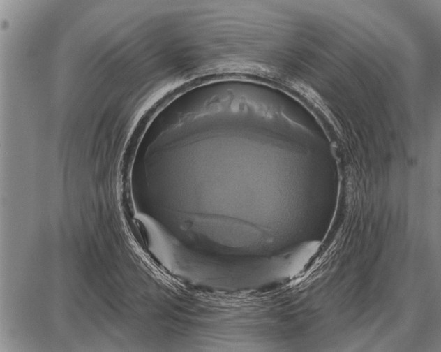 X0000087681024200705181724